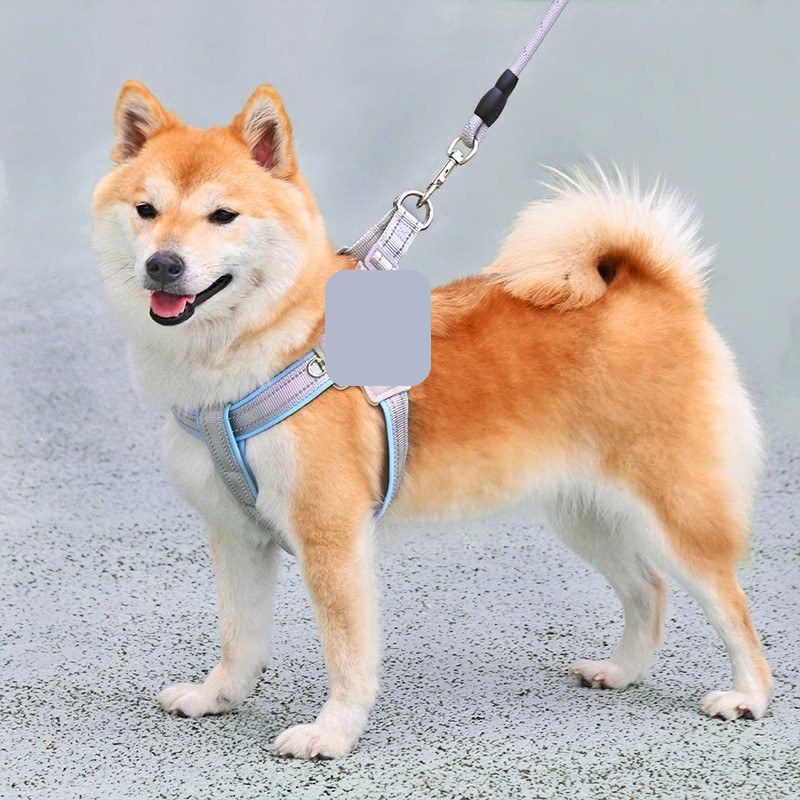 Custom dog harness with branding and color options